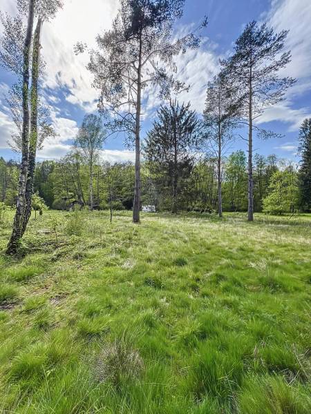 Terrain de loisir de 32.70 ares à DAMBACH-NEUNHOFFEN
